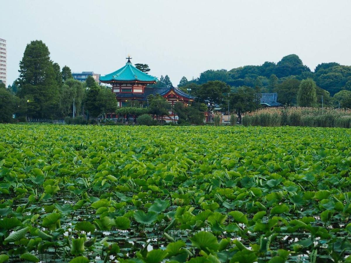 Pensión Tora Ueno 寅ホテル 上野 A *